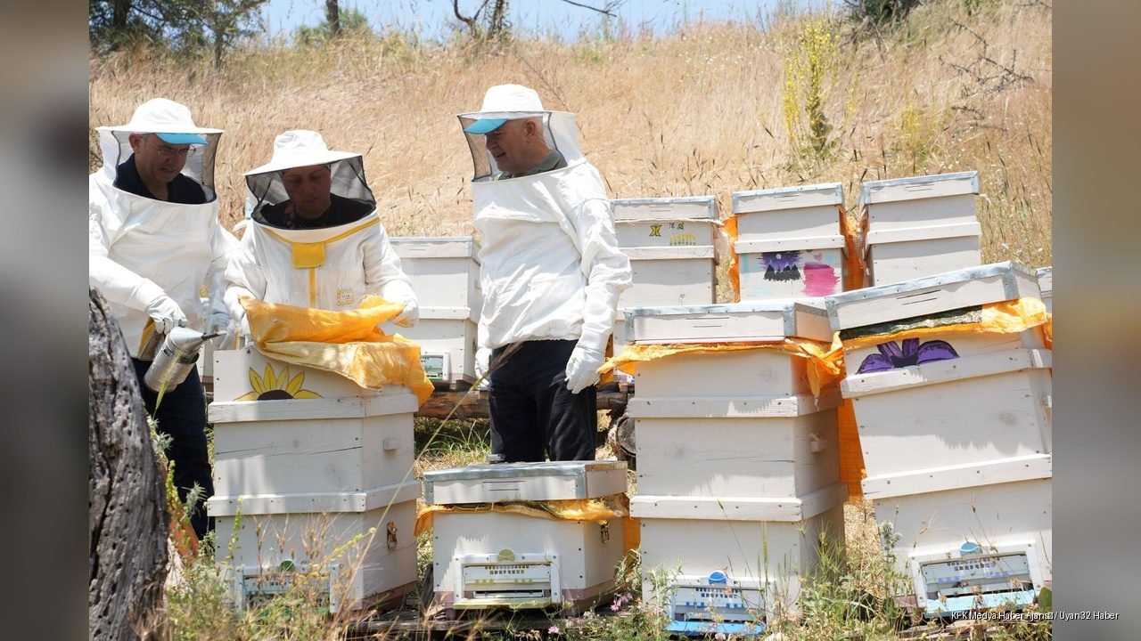 5 Kovanla Başladı, Şimdi Ana Arı Üretiyor