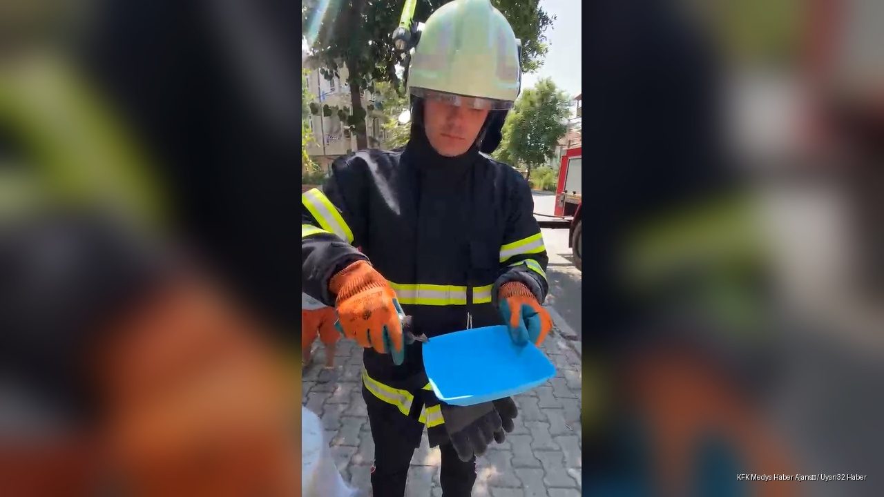 Ağaçta Mahsur Kalan Yavru Kuş, İtfaiyenin Müdahalesiyle Kurtuldu