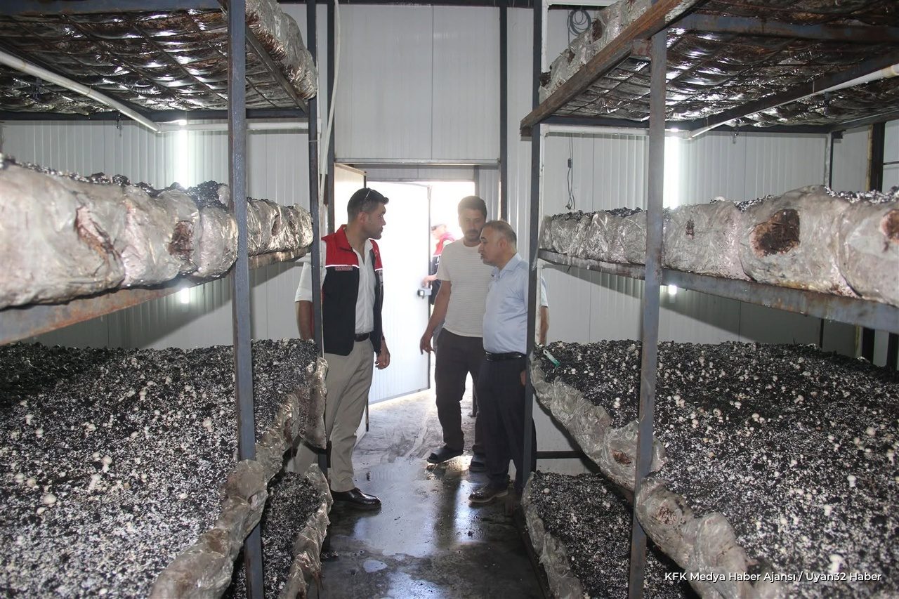 Atabey'de Tarıma Biyolojik Yenilikler