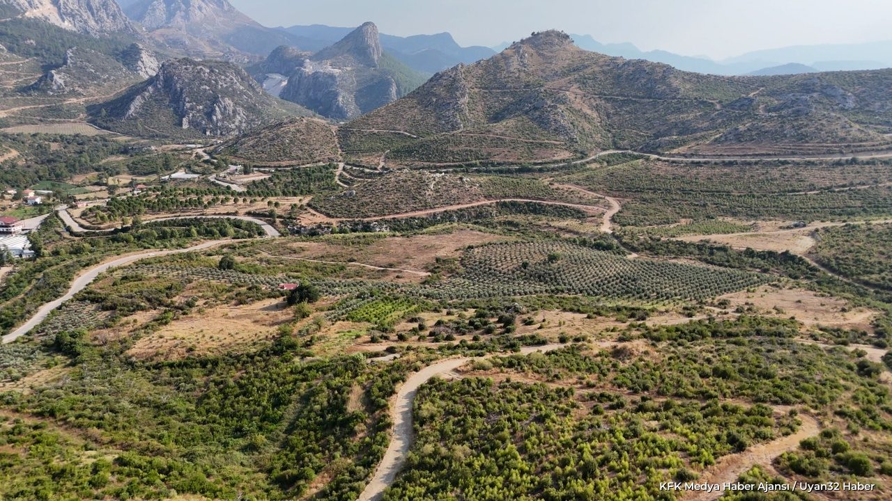 Çandır'da Yanan Ormanlar 5 Yıl Sonra Yeniden Yeşerdi