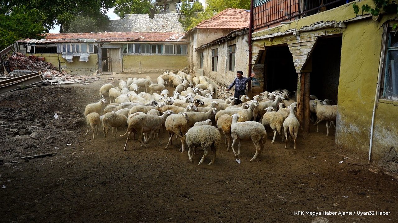 Sanatın İki Yüzü: Çoban ve Şair