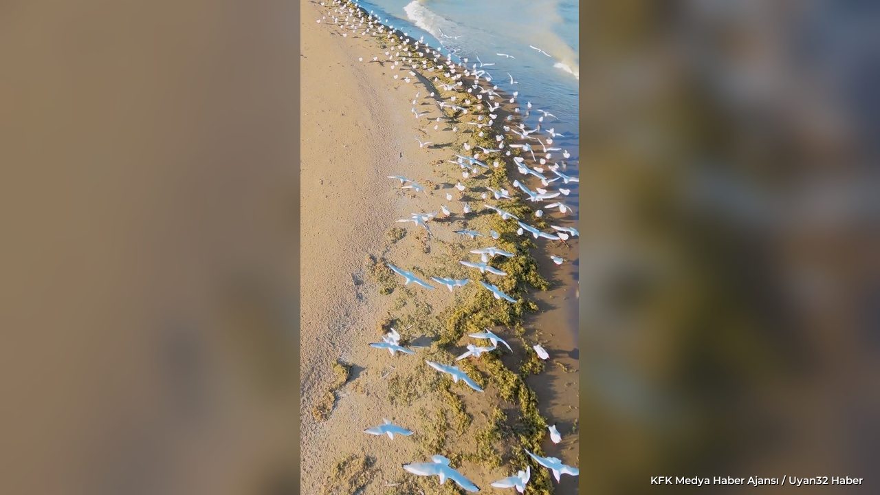 Eğirdir Gölü Havadan Görüntülendi: Sular Çekildi Adacıklar Çıktı
