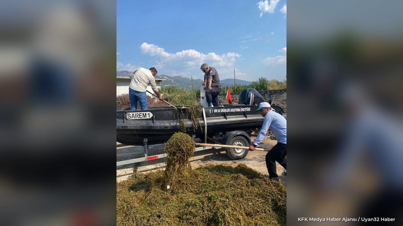 Eğirdir Gölü Makrofitleri Tarıma Kazandırılıyor: Saha Örneklemesi