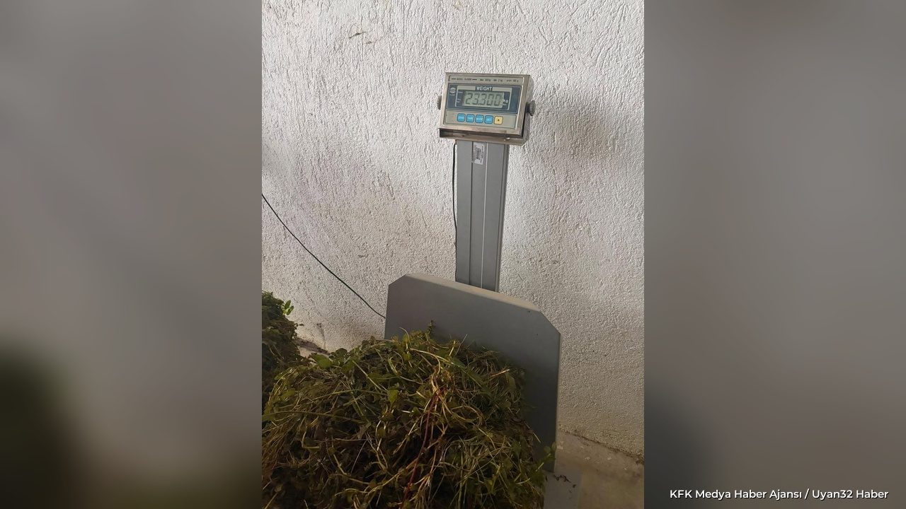 Eğirdir Gölü Makrofitleri Tarıma Kazandırılıyor: Saha Örneklemesi - Detay 2