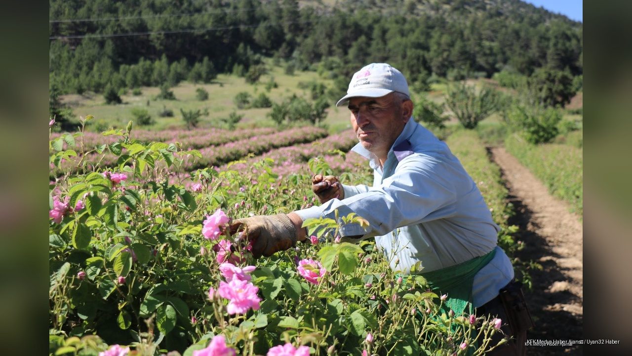 Gülün Başkenti Isparta