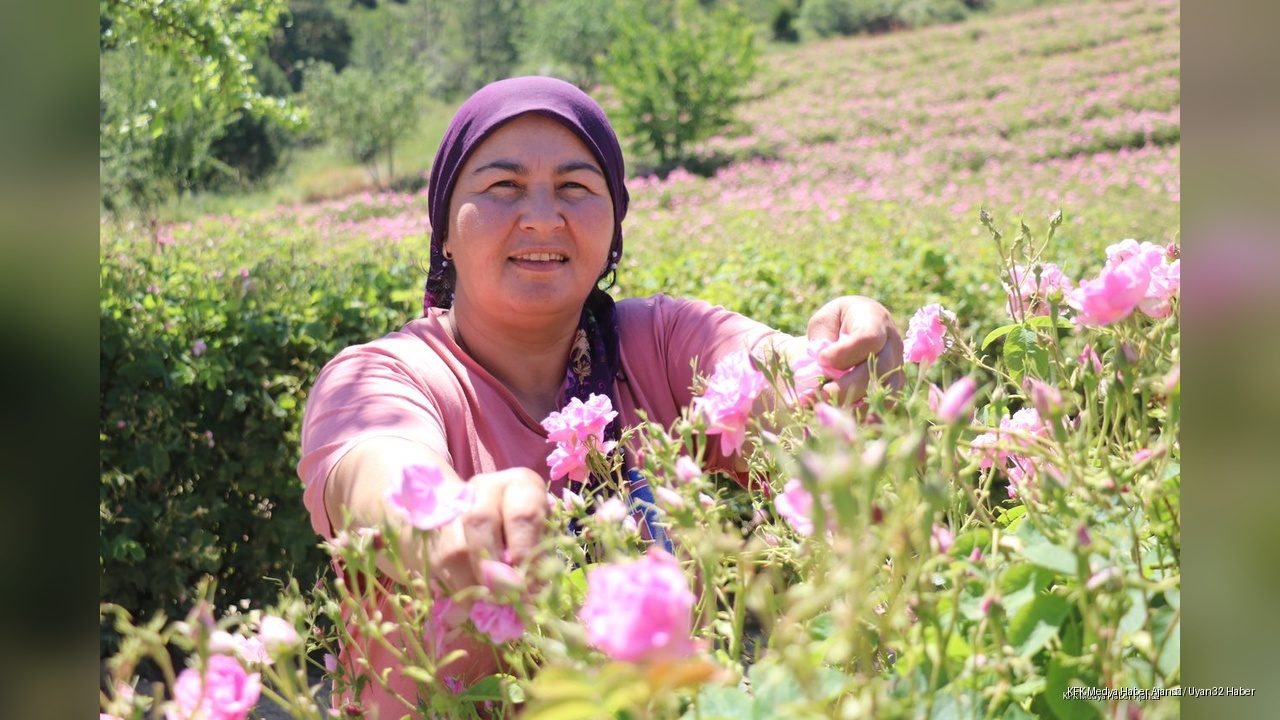 Gülün Başkenti Isparta