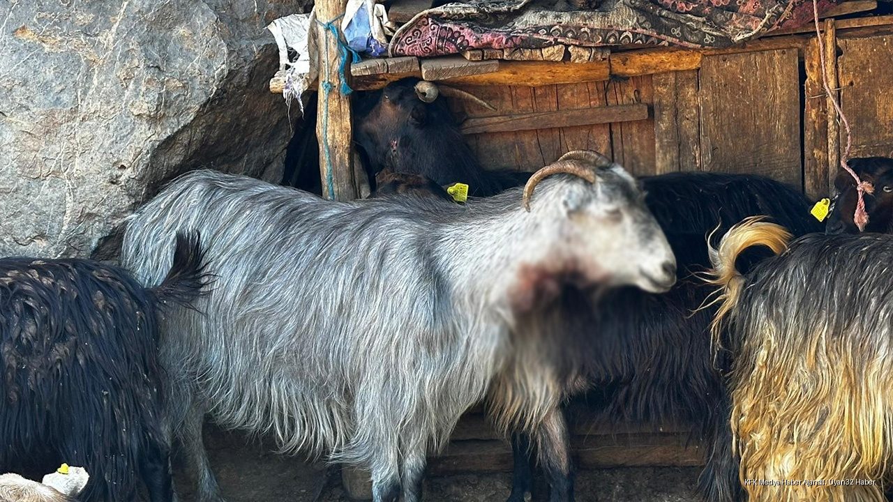 Isparta Aksu