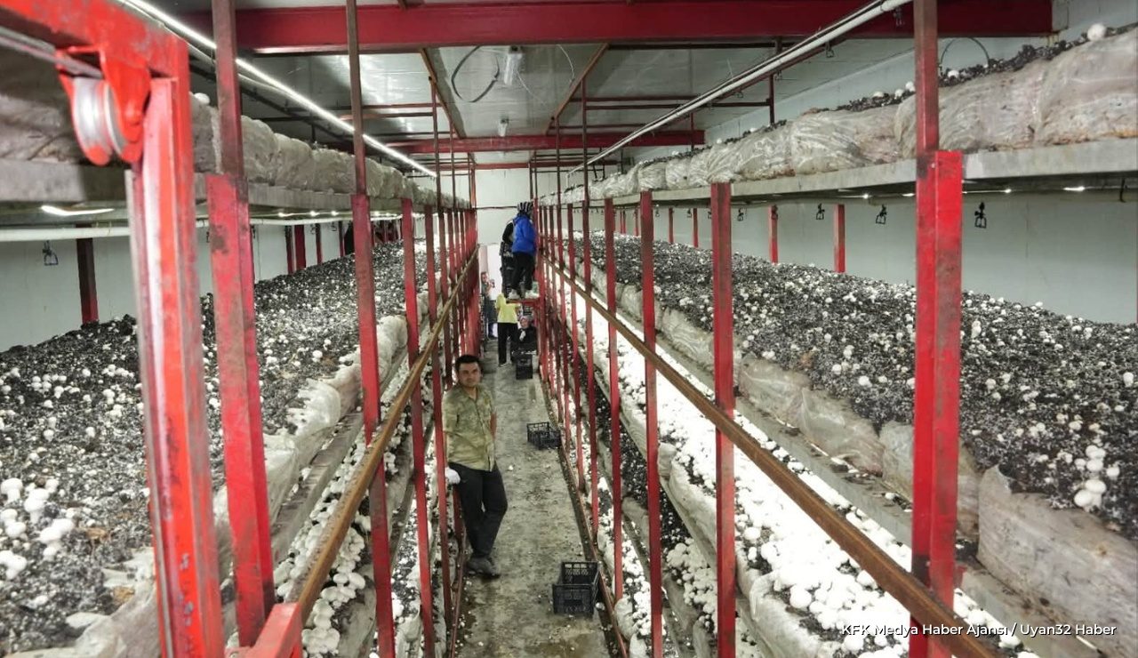Isparta'da Mantar Tesisi Açıldı