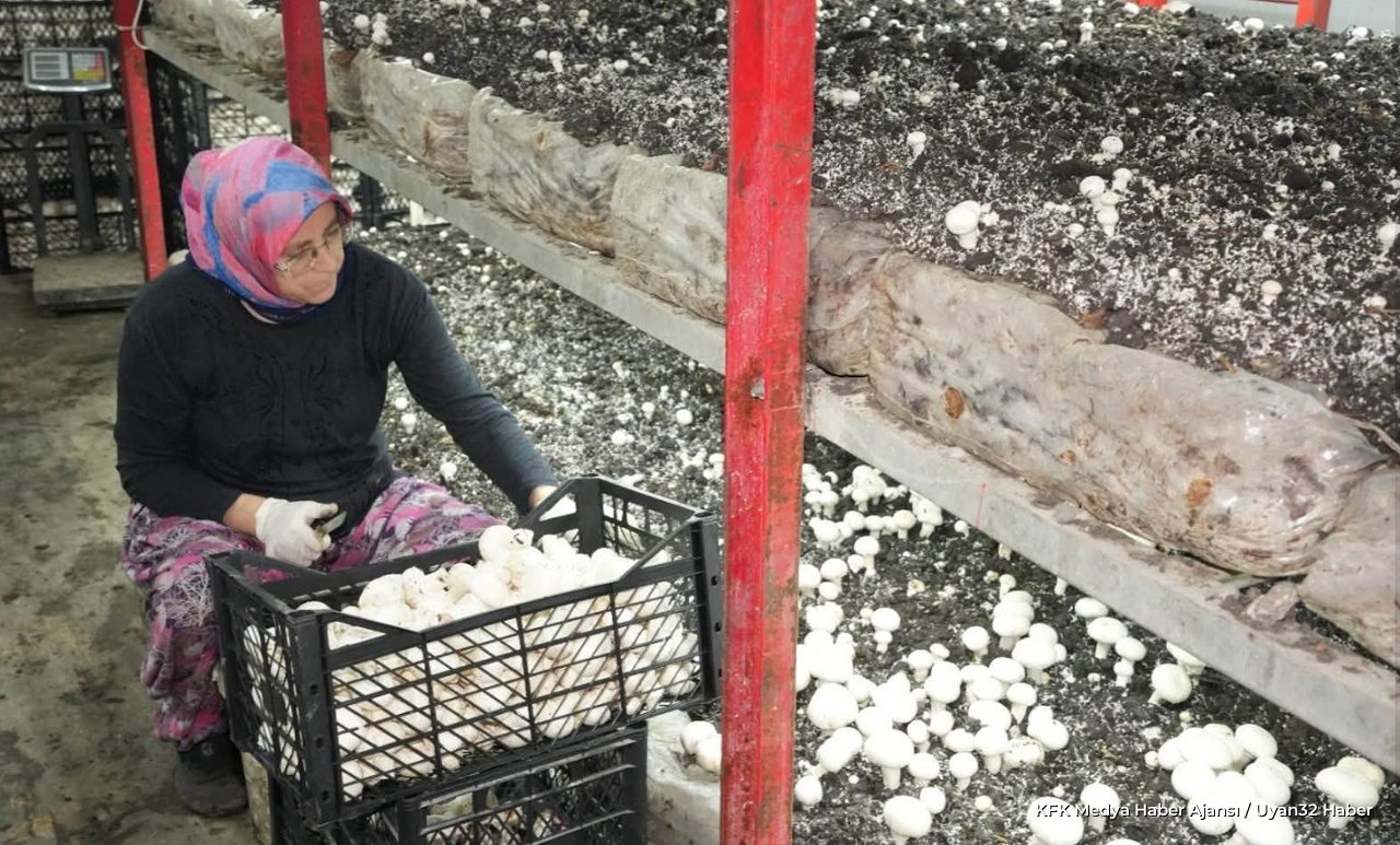 Isparta'da Mantar Tesisi Açıldı