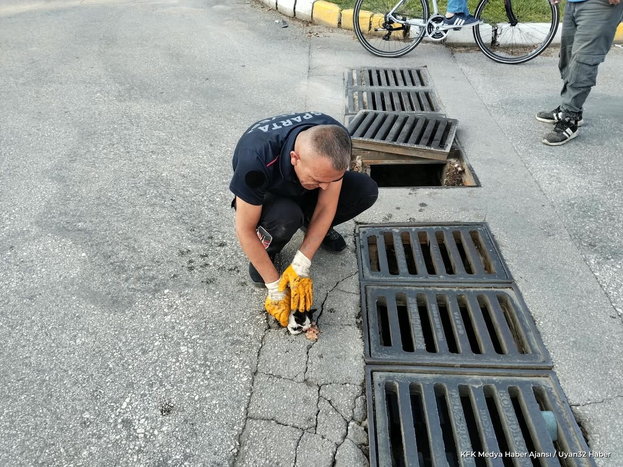 Isparta'da Araçta ve Mazgalda Mahsur Kalan 3 Kedi Kurtarıldı - Detay 2