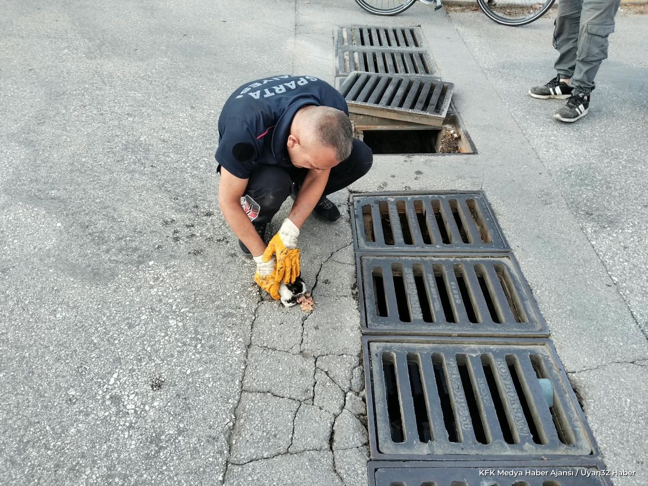 Isparta'da Araçta ve Mazgalda Mahsur Kalan 3 Kedi Kurtarıldı - Detay 3