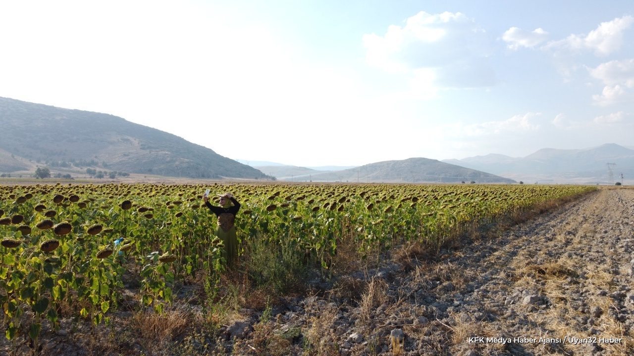 Isparta