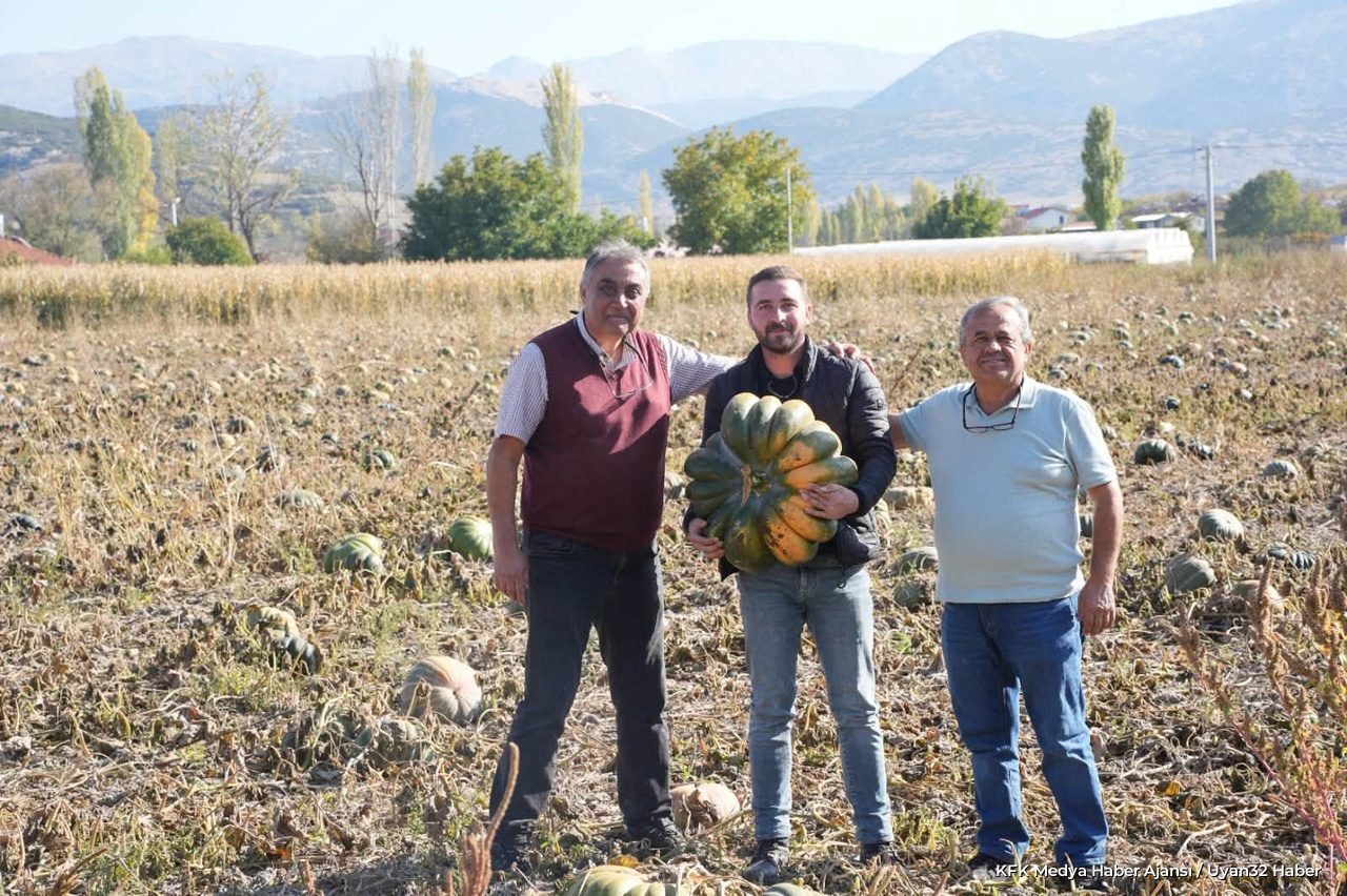 Isparta'da Bal Kabağı Hasadı Devam Ediyor - Detay 5
