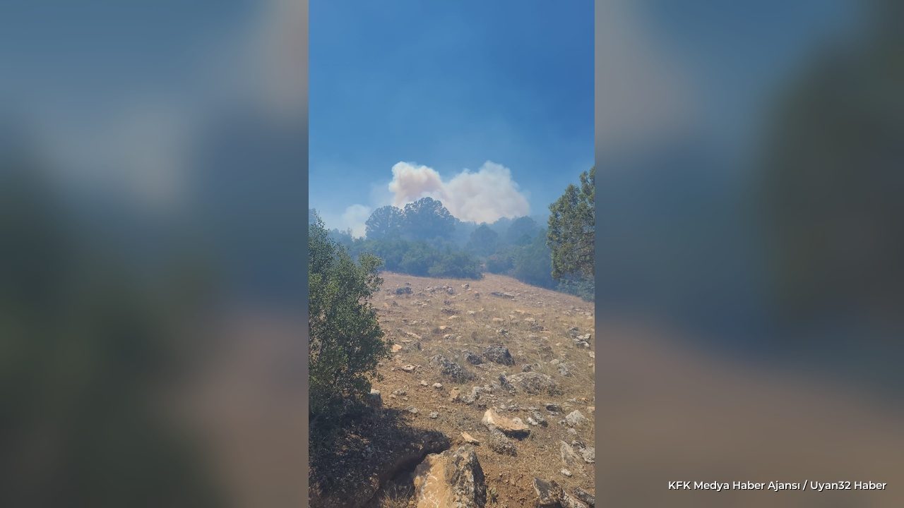 Isparta'da Orman Yangını