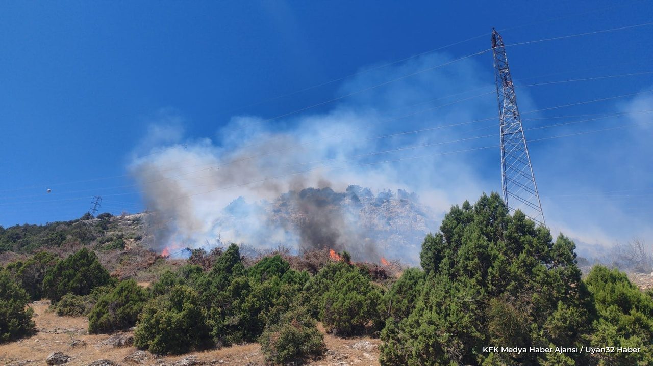 Isparta'da Orman Yangını