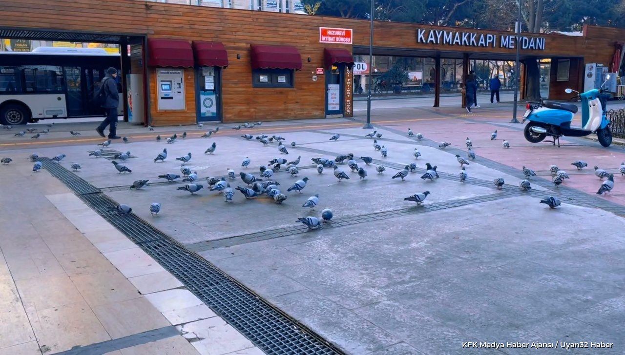 Isparta’da Kuşların Beslenmesi İçin Yeni Alan Talebi - Detay 3