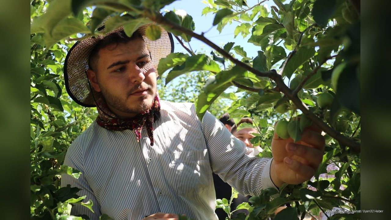 Isparta Elmasında Rekolte Patlaması Bekleniyor