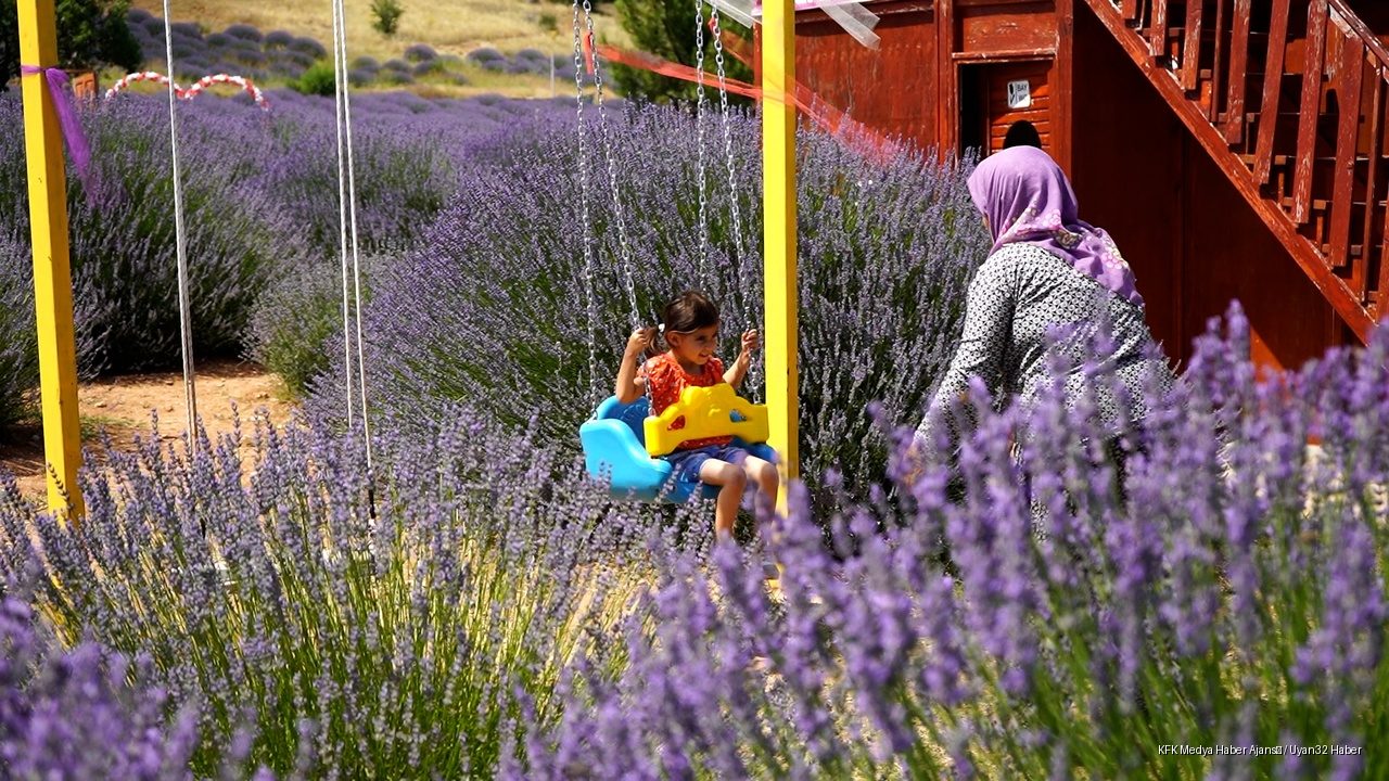 Isparta Kuyucak Köyünde Lavanta Sezonu Başladı