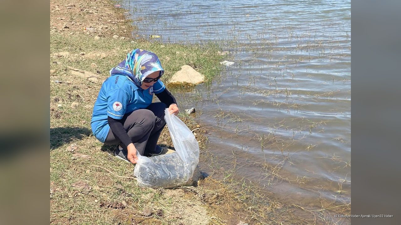 Isparta'ya 375 Bin Sazan Yavrusu Salındı