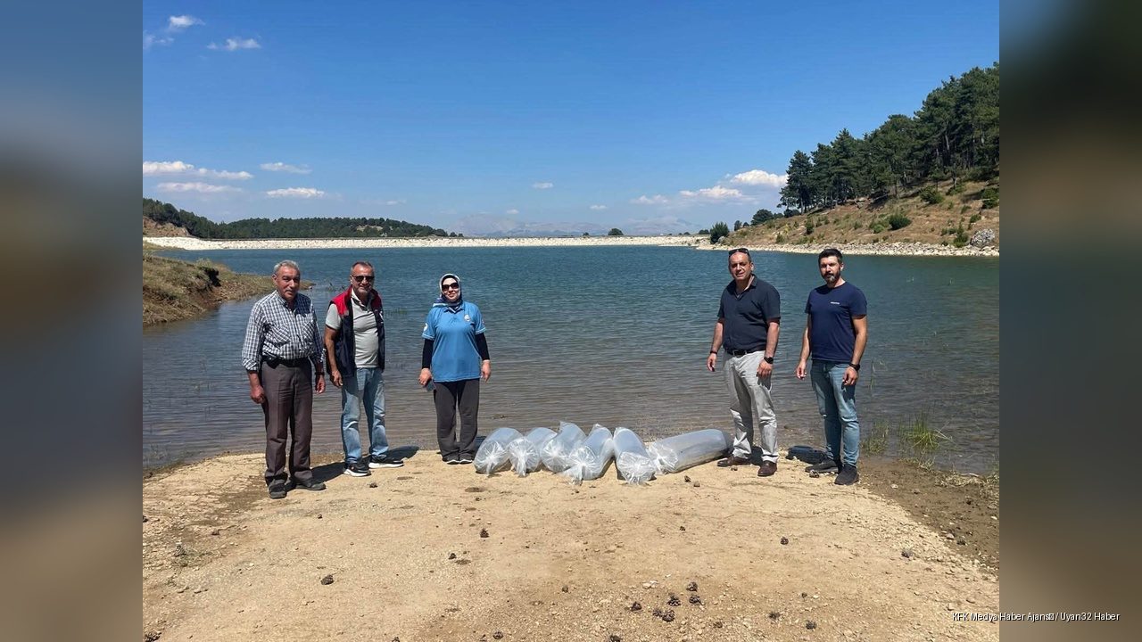 Isparta'ya 375 Bin Sazan Yavrusu Salındı