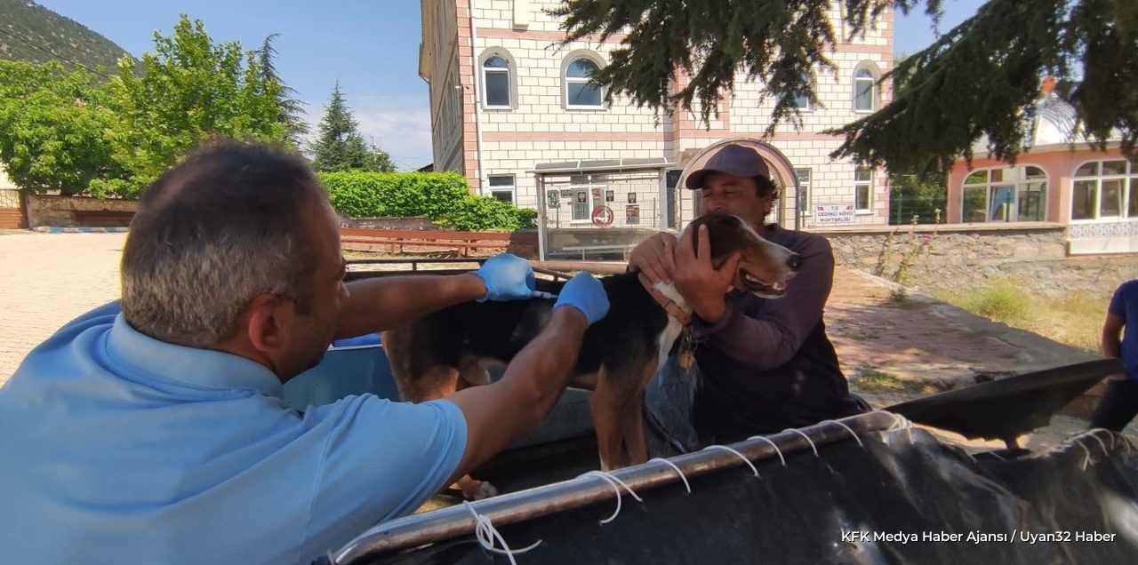 Isparta Şarkikaraağaç'ta Sahipli Köpeklere Kuduz Aşısı Yapıldı