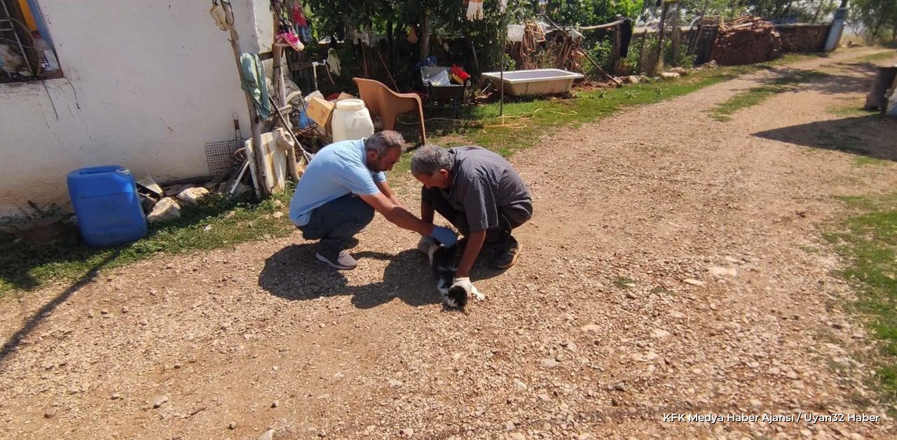 Isparta Şarkikaraağaç'ta Sahipli Köpeklere Kuduz Aşısı Yapıldı