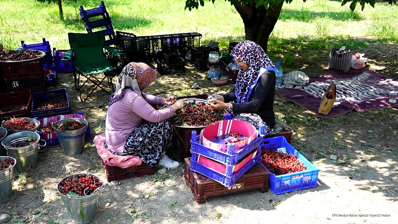 Kirazın Başkenti Uluborlu
