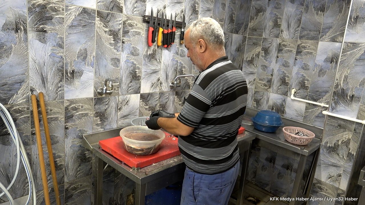 Tezgahların Gözdesi Belli Oldu Bu Sezon Cebi Yakmayan Balık Hangisi? - Detay 4