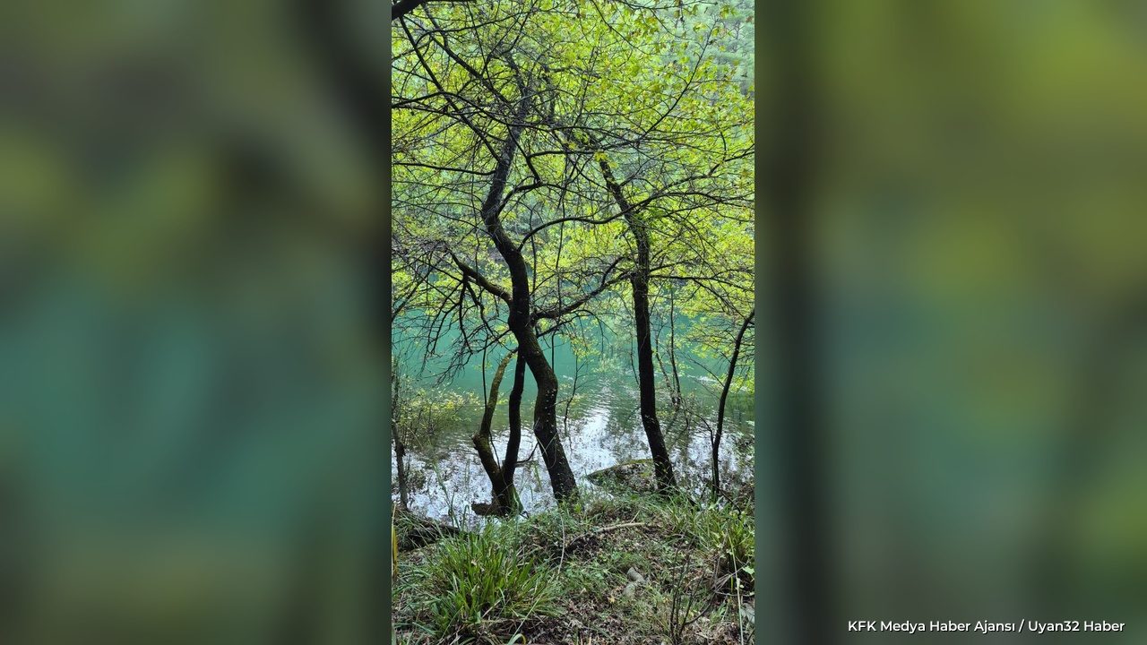 Uluslararası Heyet Isparta'nın Kasnak Meşesini İnceledi - Detay 3