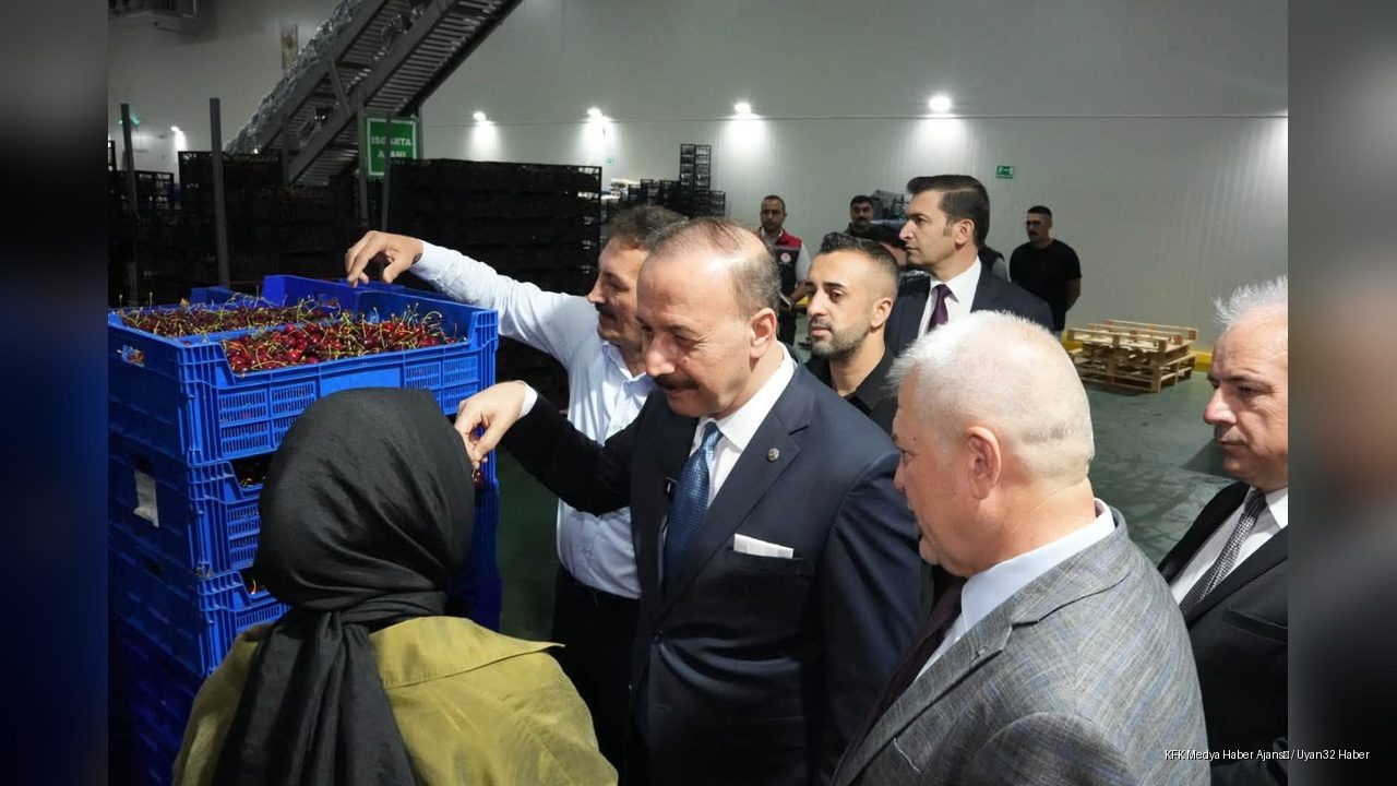 Vali Abdullah Erin