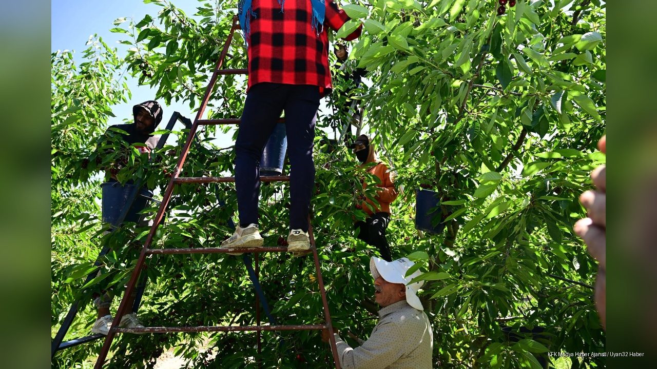Vali Abdullah Erin, Uluborlu