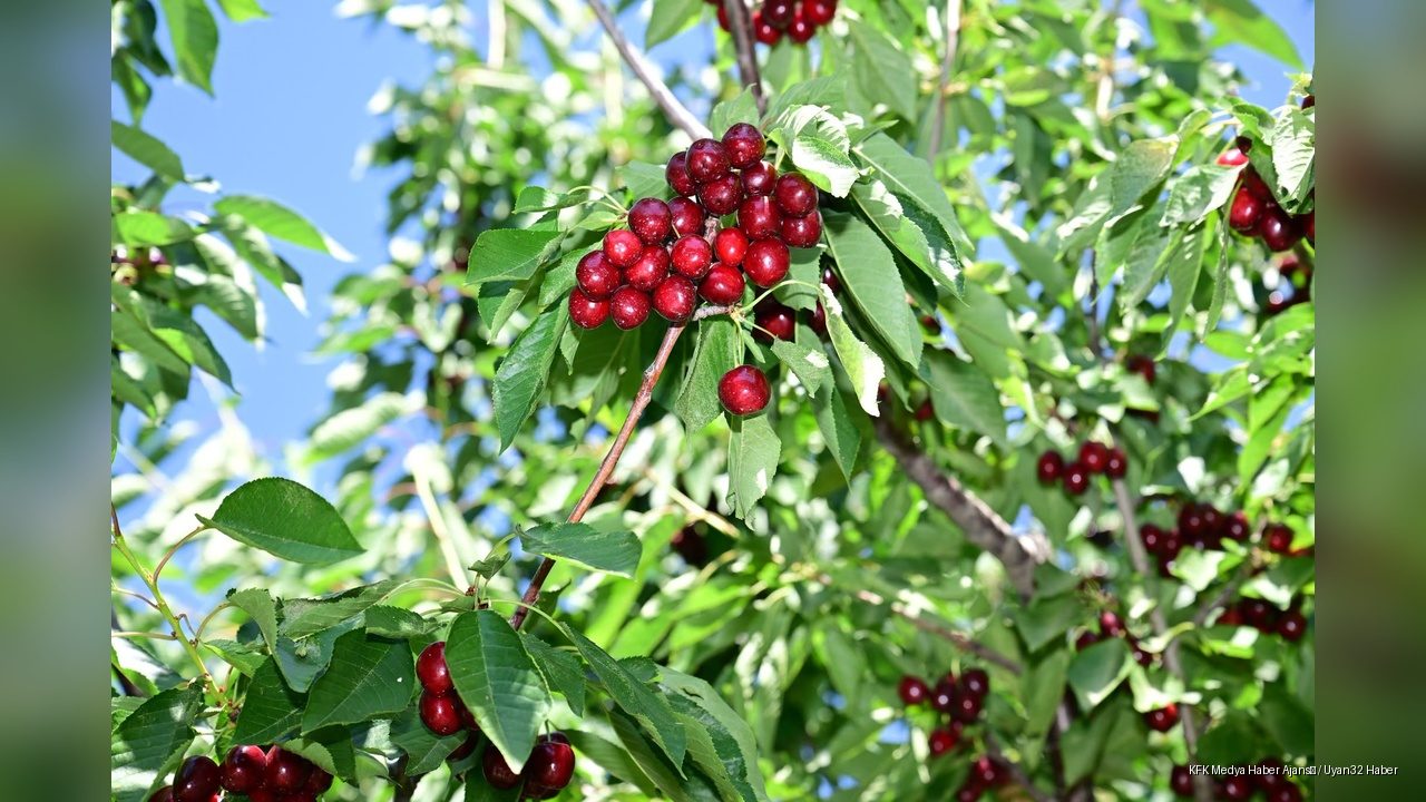 Vali Abdullah Erin, Uluborlu