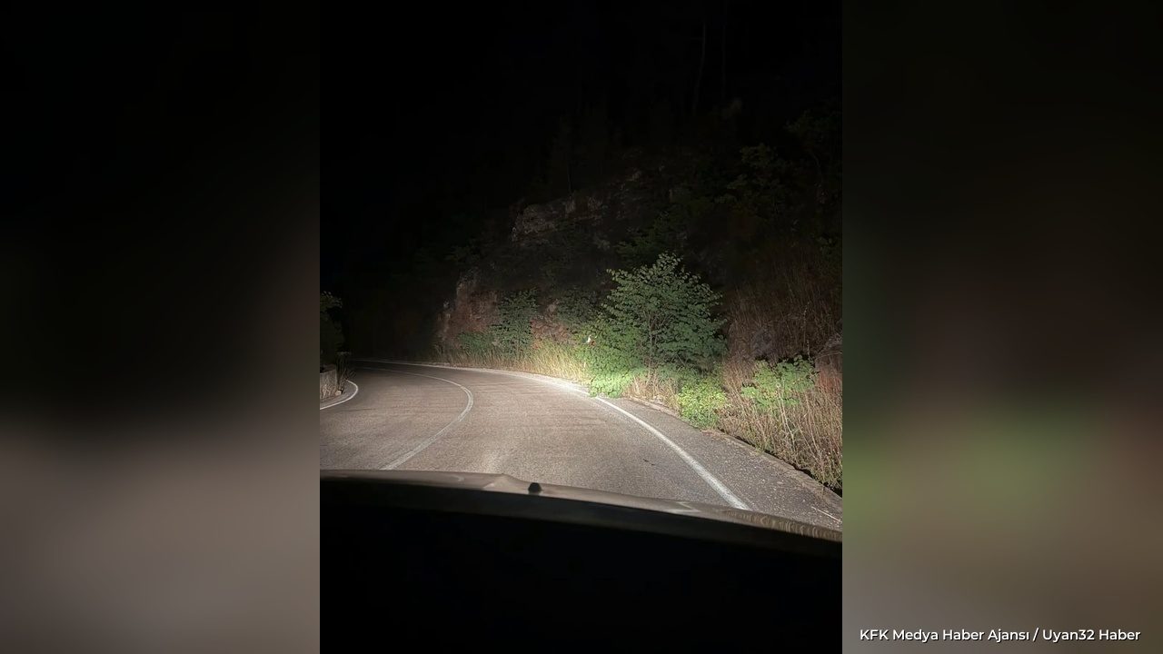 Virajlı Yolda Tehlike! Trafik Levhası Ağaç Dalları Arasında Kayboldu - Detay 2