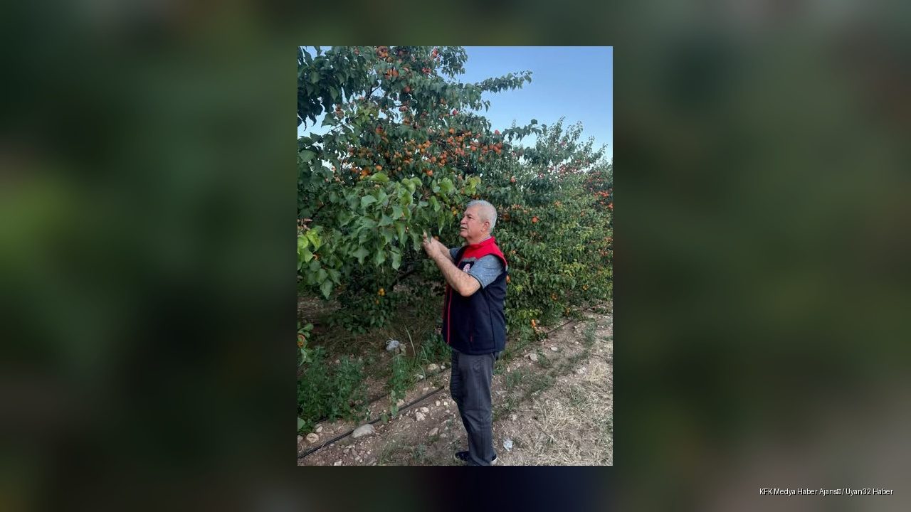 Yalvaç