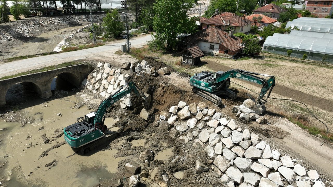 Yeşil Karıncalar Görev Başında: Derelerde Hummalı Çalışma