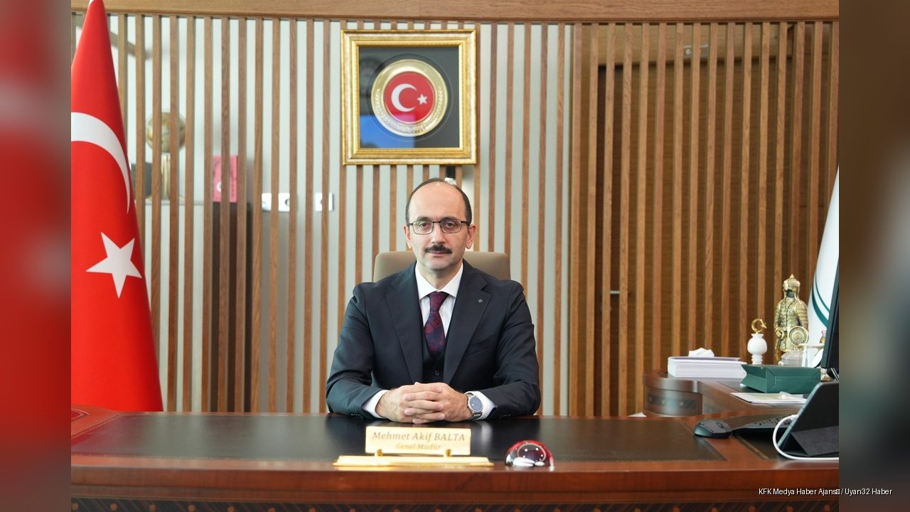 Yeşil Karıncalar Görev Başında: Derelerde Hummalı Çalışma