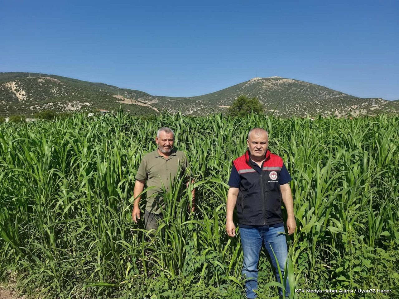 Yüzde 75 Hibeyle Ekildi, Hasadı Başladı - Detay 2